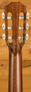 Taylor 300 Series | 312ce-N