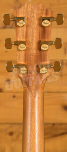 Taylor 200 Series | 214ce-K DLX