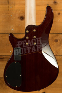 Schecter Omen Extreme-5 - Gloss Natural