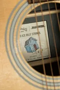 Martin Custom & Special Editions | DX-2E Billy Strings