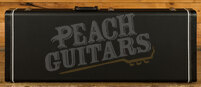PRS DGT - Faded Whale Blue Moons *Used*