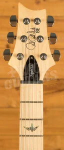 PRS SE Specialty | Swamp Ash Special - Iri Blue