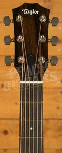 Taylor 400 Series | 414ce Studio - Natural