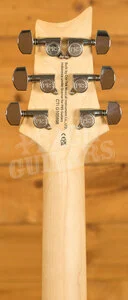 PRS SE Specialty | Swamp Ash Special - Iri Blue