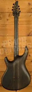 Mayones Regius 6 - TEW Birdseye Maple - Trans Graphite Gloss