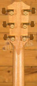 Taylor 200 Deluxe Series | 224ce-K DLX