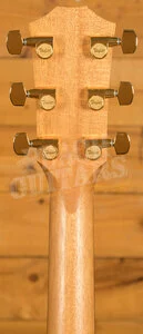 Taylor 200 Deluxe Series | 224ce-K DLX
