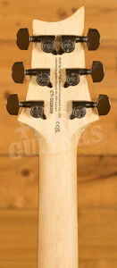 PRS SE CE | CE24 Sandblasted Green