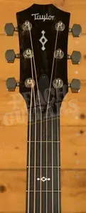 Taylor 400 Series | 414ce Natural Next Generation