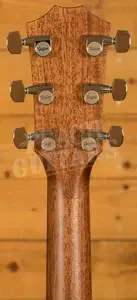 Taylor 400 Series | 414ce Natural Next Generation