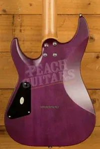 Schecter C-1 Standard Plus - Roasted Maple - Transparent Purple Burst
