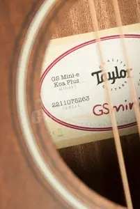 Taylor GS Mini Series | GS Mini-e Koa Plus