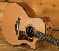 Taylor NAMM Customs 2025 | C14ce B5028