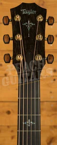 Taylor NAMM Customs 2025 | C14ce B5028