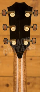 Taylor NAMM Customs 2025 | C14ce B5028