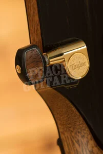 Taylor NAMM Customs 2025 | C14ce B5028