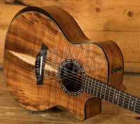 Taylor NAMM Customs 2025 | C24ce B5043
