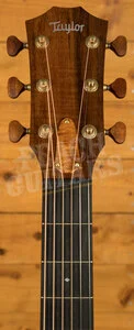 Taylor NAMM Customs 2025 | C24ce B5043