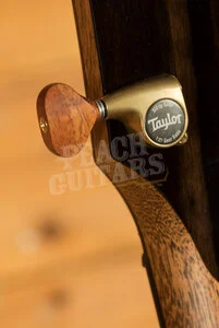 Taylor NAMM Customs 2025 | C24ce B5043