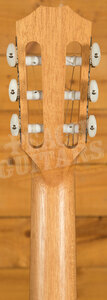 Taylor 214ce-N Solid-Top Cutaway Classical Guitar - Natural