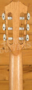 Taylor 200 Series | 214ce-N - Nylon