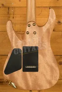 Charvel Pro-Mod DK24 HSH 2PT CM Mahogany - Caramelized Maple - Natural