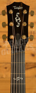 Taylor 400 Series | 414ce Special Edition - Shaded Edgeburst