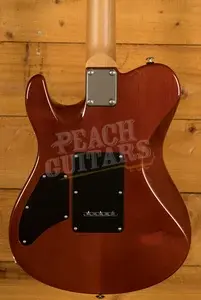 Suhr Oso Figured Maple - Tea Burst