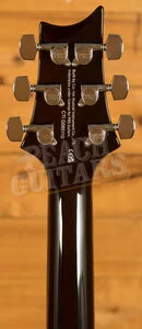 PRS SE Signature DGT - Gold Top David Grissom