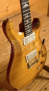 PRS DGT 10 Top Birds McCarty Sunburst *Used*