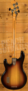 Music Man Pino Palladino StingRay Bass - Rosewood - '79 Burst