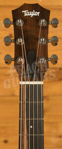 Taylor GS Mini Series | GS Mini Sapele