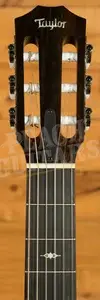 Taylor 312ce-N All-Solid Cutaway Classical Guitar - Natural