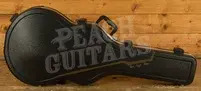 Ibanez AS113 Artstar Series Hollow Body - Macassar Ebony - Brown Sunburst