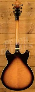 Ibanez AS113 Artstar Series Hollow Body - Macassar Ebony - Brown Sunburst