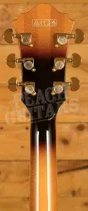 Ibanez AS113 Artstar Series Hollow Body - Macassar Ebony - Brown Sunburst