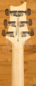 PRS SE Specialty | Swamp Ash Special - Iri Blue
