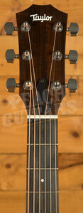Taylor 24ce