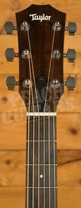 Taylor 24ce