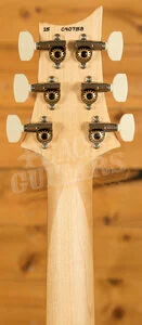 PRS Swamp Ash Special - Rosewood Black Doghair Smokeburst 