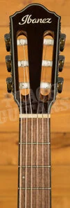 Ibanez AEWC300N - Natural Browned Burst High Gloss