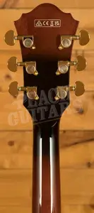 Ibanez AG Artcore Expressionist | AG95QA - Dark Brown Sunburst