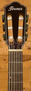 Ibanez AEWC300N AEW Series Electro-Nylon - Natural Browned Burst High Gloss