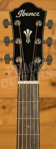 Ibanez AEG50 AEG Series Electro-Acoustic - Laurel - Dark Honey Burst High Gloss