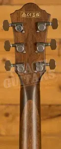 Ibanez AEG50 AEG Series Electro-Acoustic - Laurel - Dark Honey Burst High Gloss