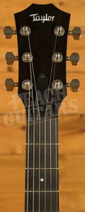Taylor Crosstone Urban Sienna Stain