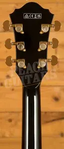 Ibanez AS Artcore Expressionist | AS93SP - Black