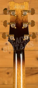 Ibanez John Scofield Signature JSM10EM | Two-Tone Burst