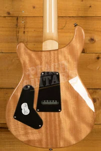 PRS SE Custom | Custom 24 - Turquoise