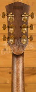 Cort Gold-A10 Cocobolo - Natural Gloss